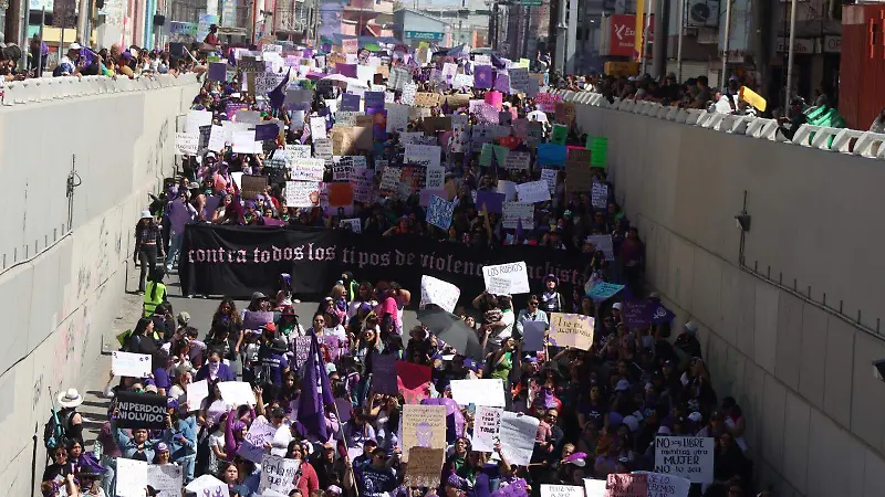 MARCHA INCLUYENTE 2026 8M
